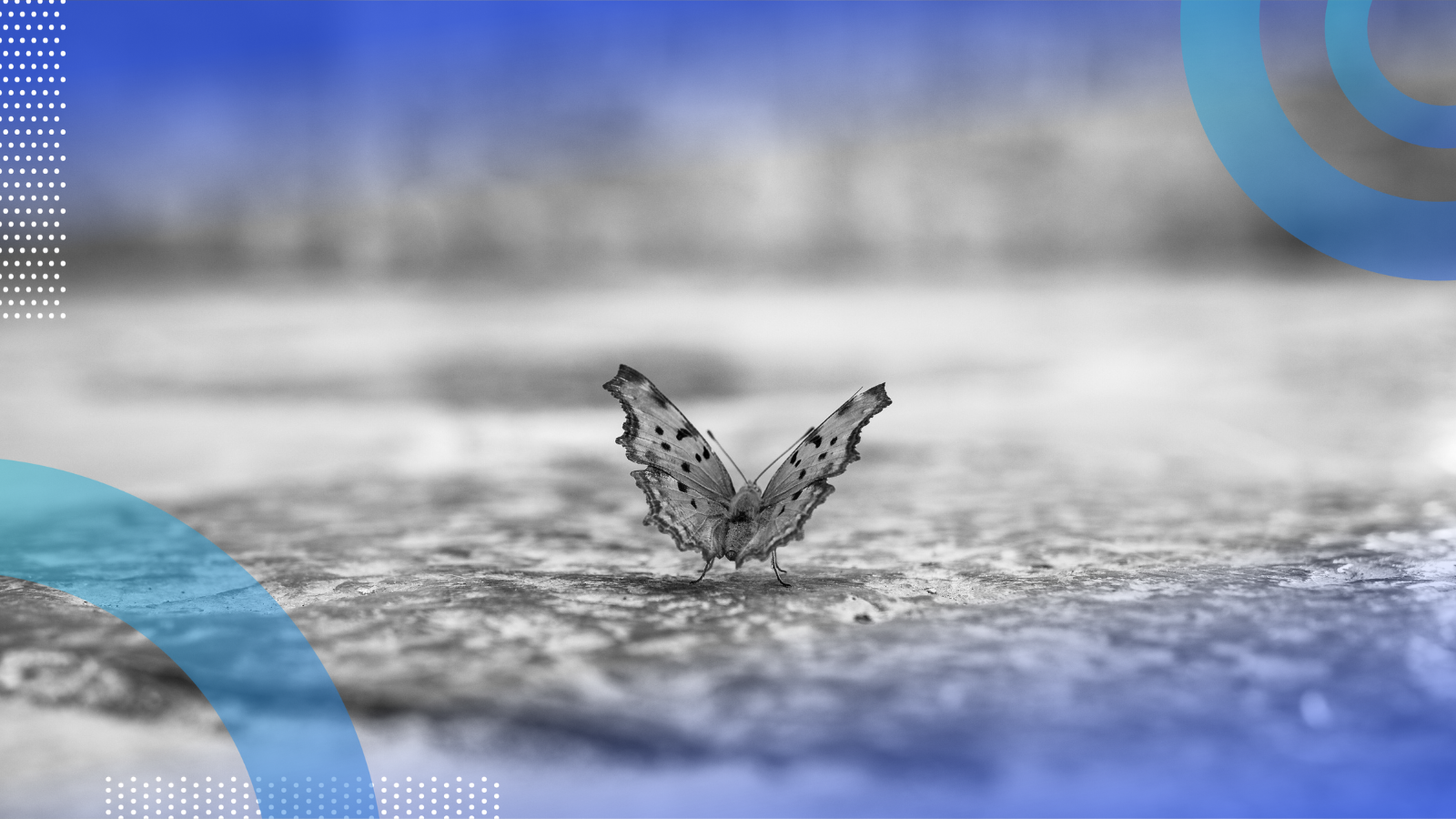 Image: Shutterstock / Built In