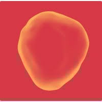 Prolaio Logo