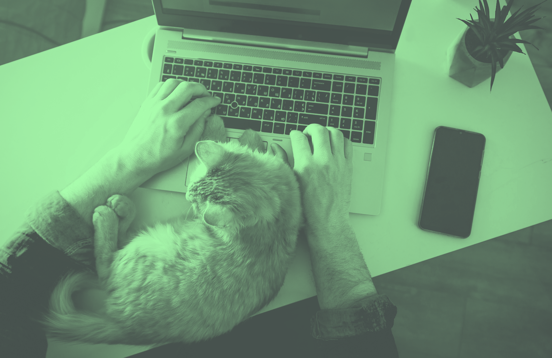 How Do You Know If a Company Has a Good Remote Work Culture?