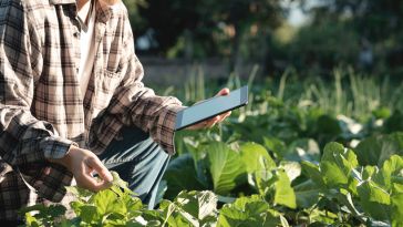8 Agtech Companies Supporting Silicon Valley’s Agricultural Future